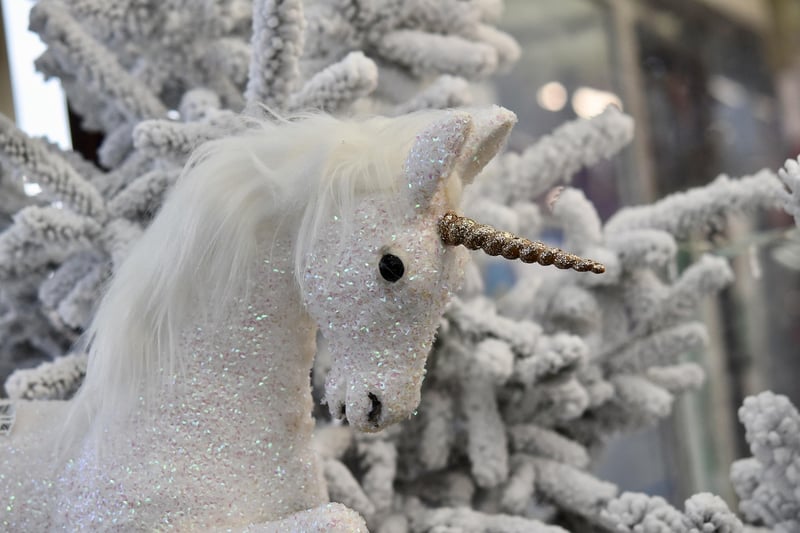 Unicorn Companions
